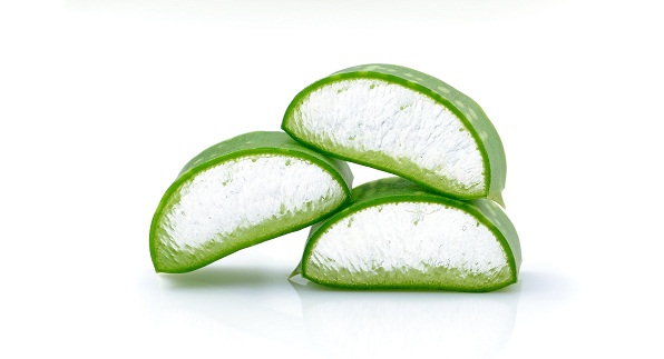 aloevera 2