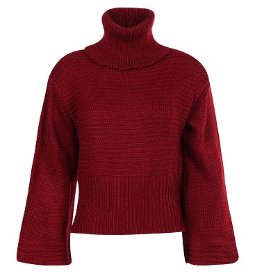 Trumpas raudonas megztinis