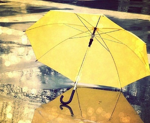 Markalı Sarı Şemsiye
