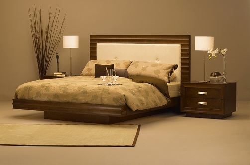 Stilingos dizainerių lovos