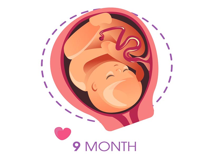 9 -asis nėštumo mėnuo