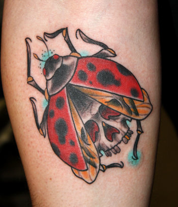 Ladybug tatuiruotės