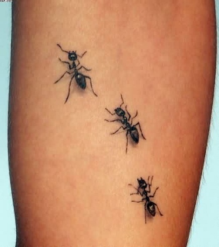 Skruzdėlių tatuiruotės
