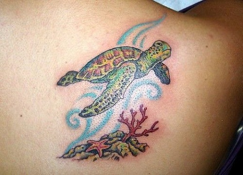Patrauklūs vėžlių vandenyno tatuiruočių dizainai