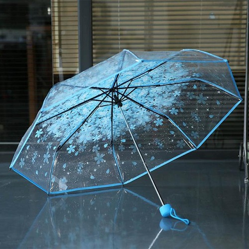 Şeffaf Şemsiye