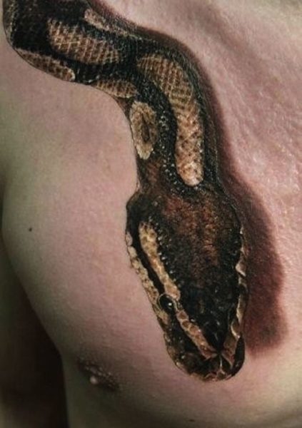 Realistinė Python galvos tatuiruotė ant krūtinės