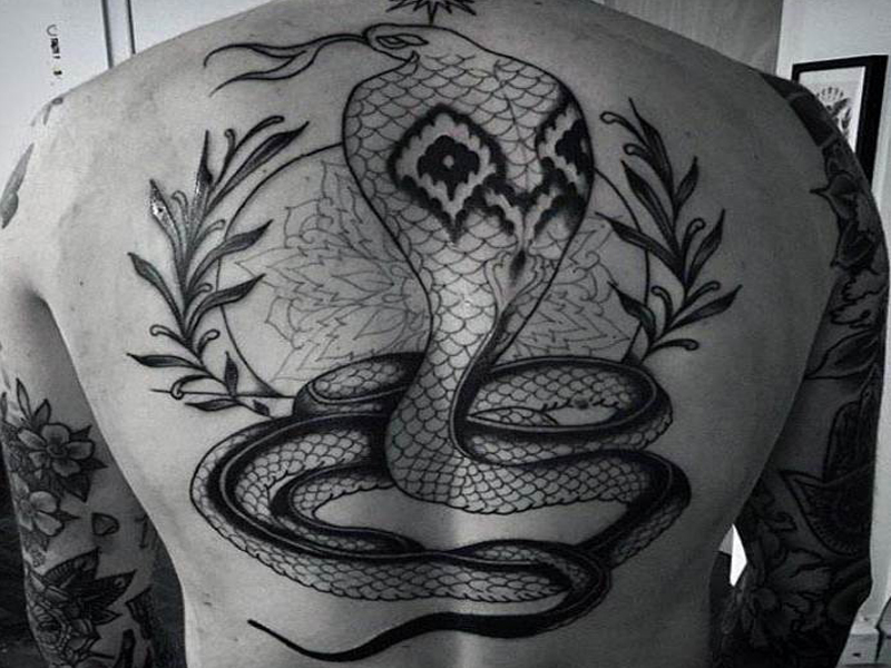 Stulbinantys „Cobra Tattoo“ dizainai