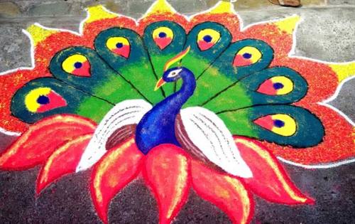 Hint Tavus Kuşu Rangoli Tasarım 3