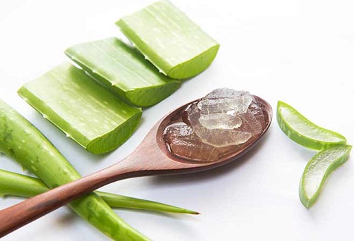 saçlar için aloe vera jeli