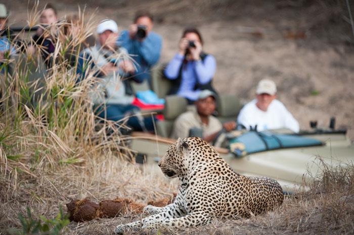 Περιπέτεια ταξίδια στο Εθνικό Πάρκο Κρούγκερ της Νότιας Αφρικής φωτογραφίζοντας ζώα