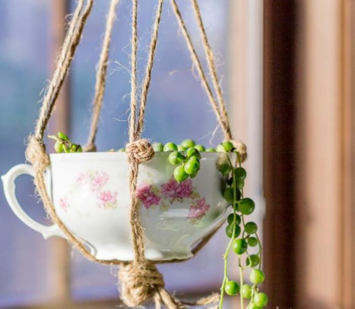 Παλιές κούπες DIY ιδέες φύτευση λουλουδιών δημιουργικές ιδέες με φλιτζάνια