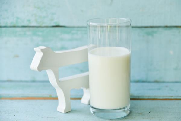 Εναλλακτικές λύσεις στο αγελαδινό γάλα Εναλλακτικές λύσεις γάλακτος Υποκατάστατο αγελαδινού γάλακτος