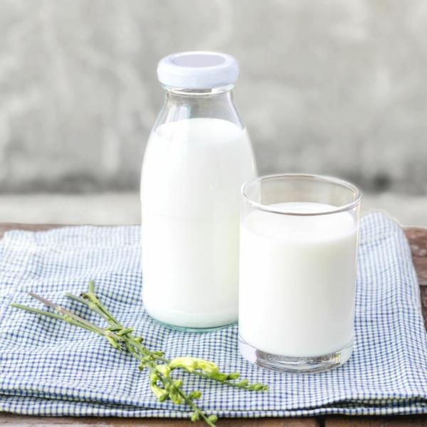 Εναλλακτικές λύσεις για αγελαδινό γάλα Κατάλογος εναλλακτικών γάλακτος