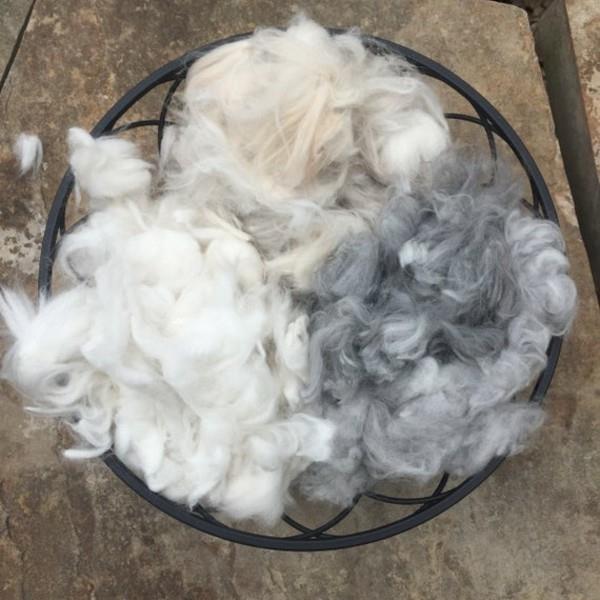 Ιδιότητες ινών μαλλιού Angora κουνελιών angora