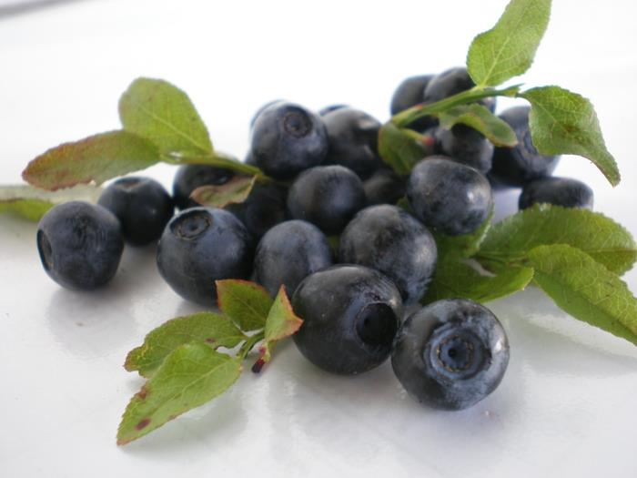 Chokeberry Chokeberry Plant Leaves Fruits
