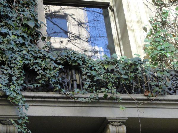 Φυτέψτε το μπαλκόνι - μπαλκόνι δίπλα στο παράθυρο