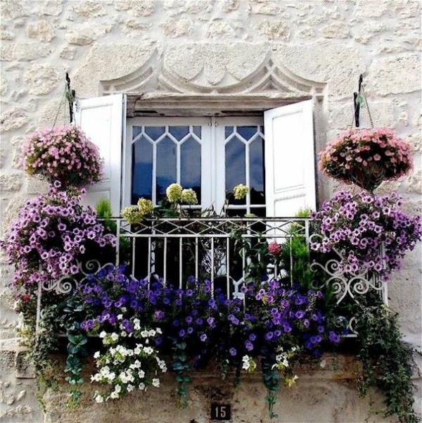 Μπαλκόνι φύτευση γαλλικού στυλ ιδέες μοβ λουλούδια