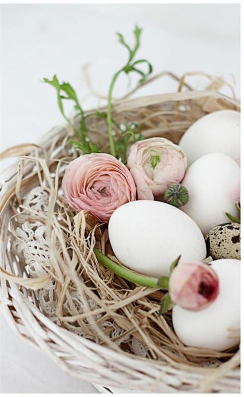 τριαντάφυλλα κήπο χλωμό Πασχαλινό αυγό φωλιά