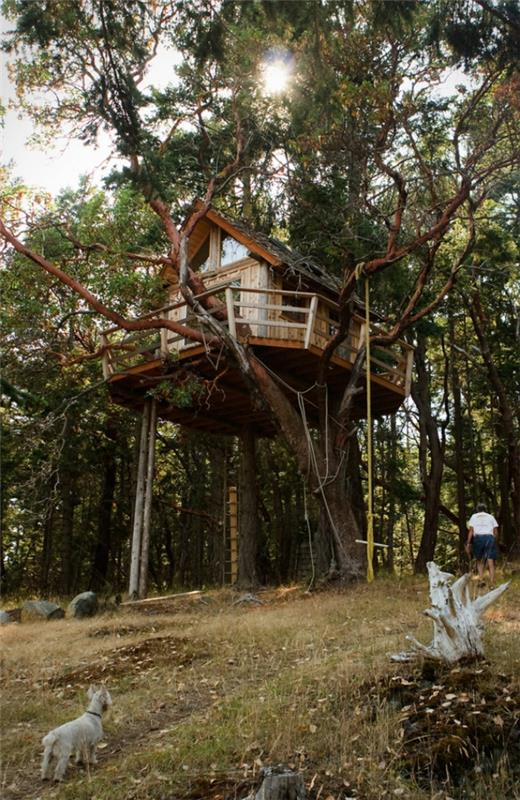 Δέντρα στεγάζει παγκόσμια σχέδια παραδοσιακά σκάλα σχοινιού
