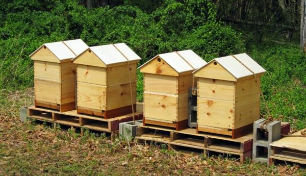 Οδηγίες κατασκευής κυψέλης μελισσών