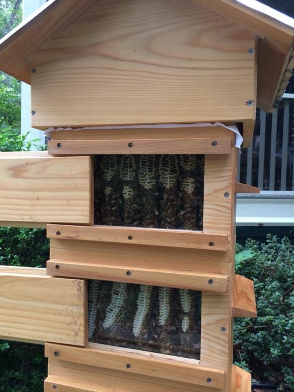 Φτιάξτε το δικό σας DIY έργο μελισσών