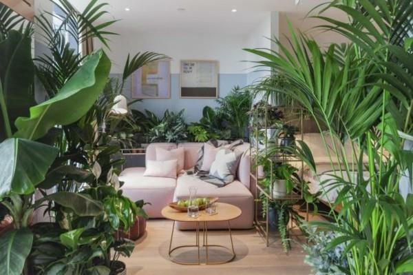 Biophilia Biophilic design Ζωντανές τάσεις 2020 Σύνδεση με τη φύση