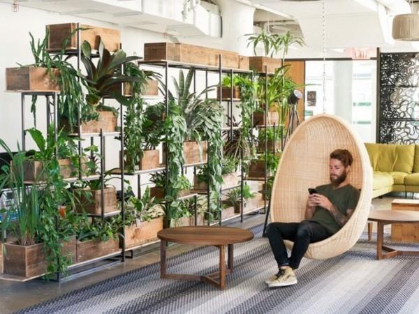 Biophilia Biophilic Design Ζωντανές τάσεις 2020 βιοφιλικός σχεδιασμός Σχεδιασμός γραφείου