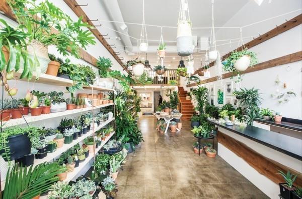 Biophilia Biophilic Design Living Trends 2020 βιοφίλικο σχέδιο Potted Plants Ποσότητα