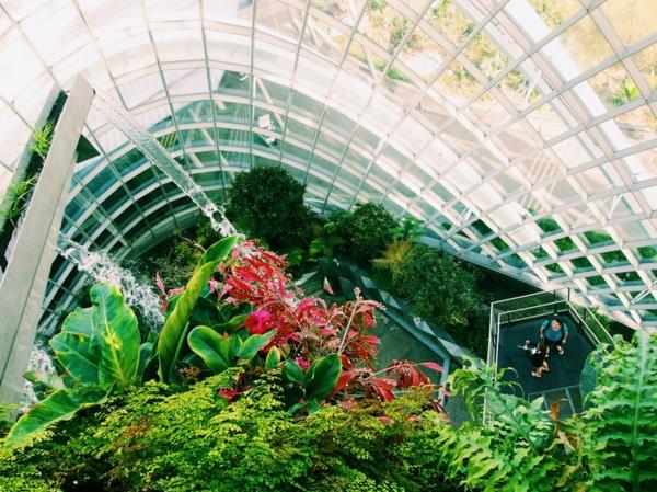 Biophilia Biophilic Design Living Trends 2020 τάσεις βιοφιλικής σχεδίασης