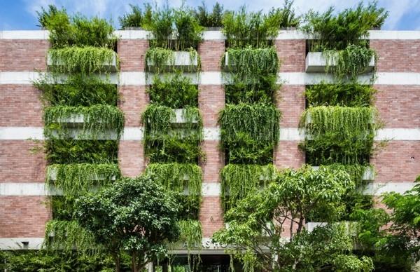 Biophilia Biophilic design Ζωντανές τάσεις 2020 ζωντανή αρχιτεκτονική