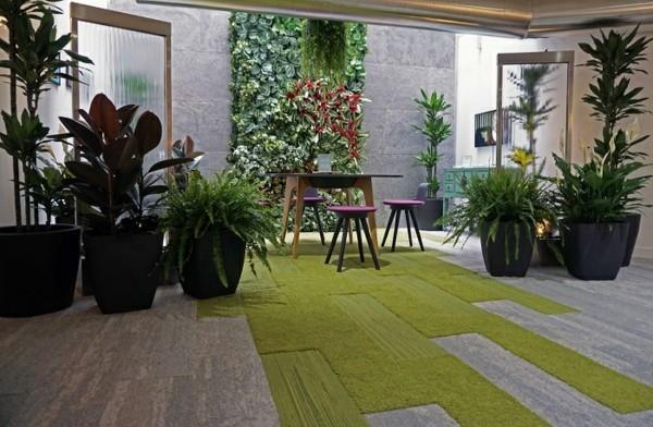 Biophilia Biophilic design Ζωντανές τάσεις φυτά θερμοκηπίου