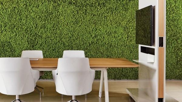 Biophilia Biophilic design Ζωντανές τάσεις Ζωντανή ατμόσφαιρα γραφείου
