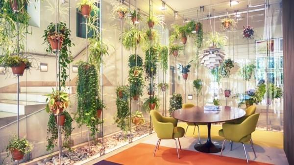 Biophilia Biophilic design ζωντανός εσωτερικός σχεδιασμός κρεμαστά φυτά εσωτερικού χώρου