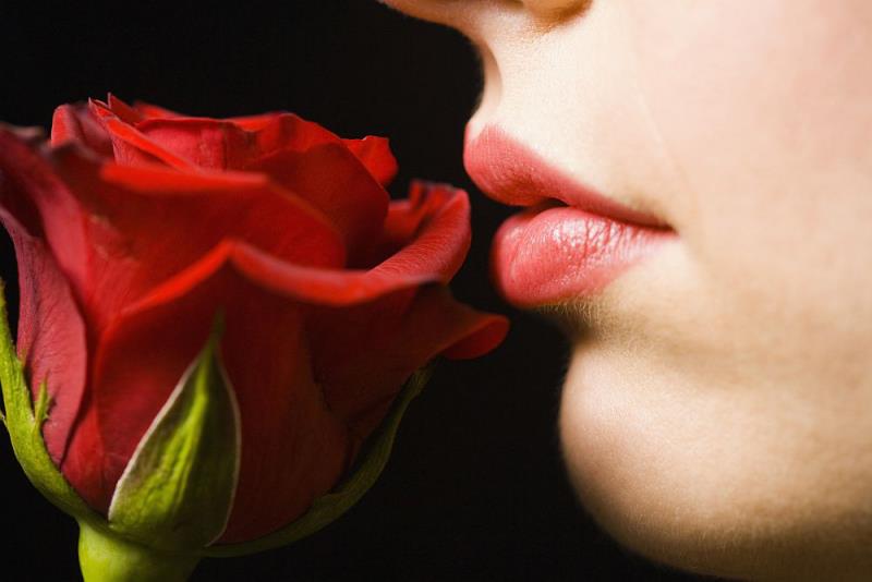 Γλώσσα λουλουδιών κόκκινα τριαντάφυλλα σύμβολο της αγάπης λένε περισσότερες από χίλιες λέξεις