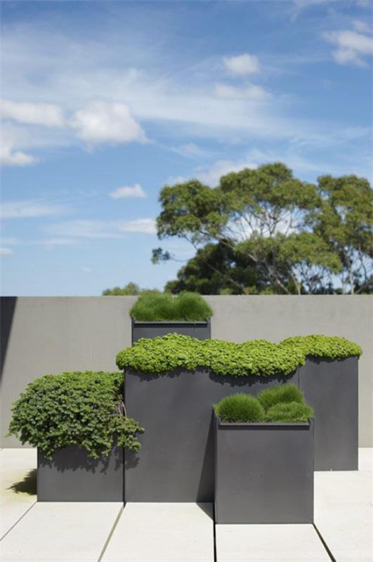 Γλάστρες και ζαρντινιέρες από τσιμέντο Σχεδιασμός κήπου σε ιδέες βιομηχανικού στιλ