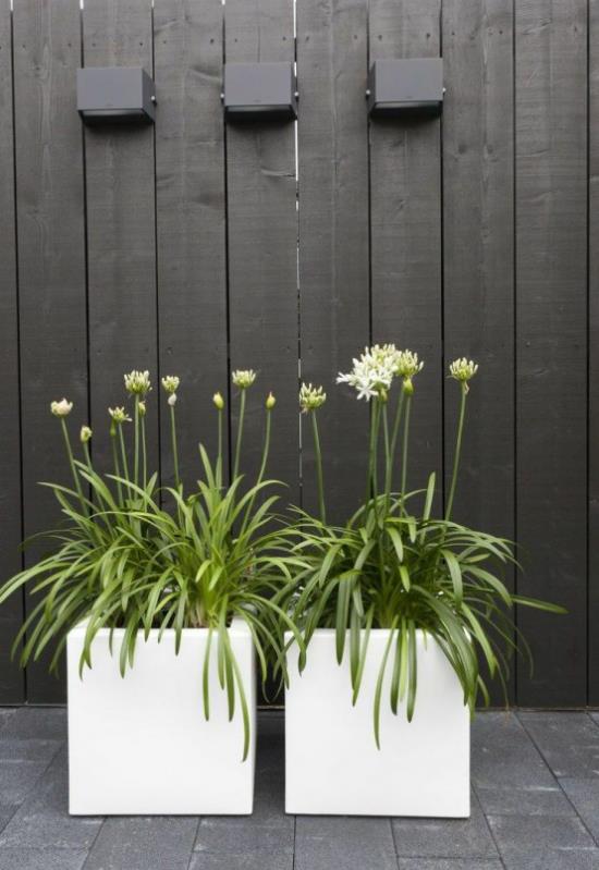 Γλάστρες και ζαρντινιέρες - δύο ορθογώνιες λευκές γλάστρες μπροστά από έναν ξύλινο τοίχο