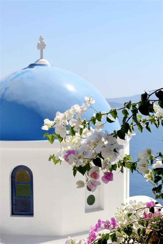 Συμβουλές φροντίδας Bougainvillea και γεγονότα για τα τριπλά λουλούδια πολύχρωμα λουλούδια όμορφη Ελλάδα