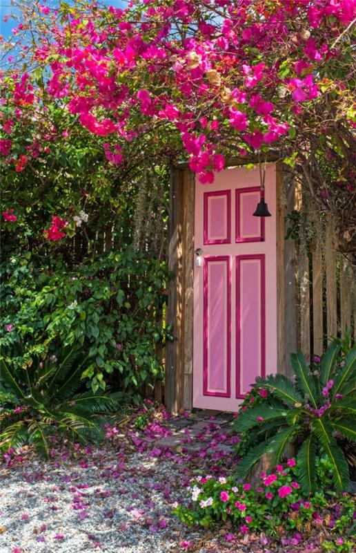 Συμβουλές φροντίδας Bougainvillea και ενδιαφέροντα γεγονότα για την πόρτα των τριπλών λουλουδιών ροζ ντεκό