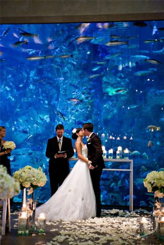 Λαμπρός διακοσμητικός γάμος ενυδρείων διακοσμητικών ψαριών