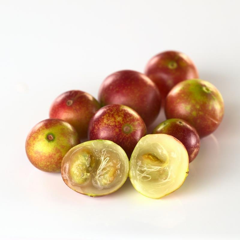 Camu Camu Myrciaria dubia σούπερ φρούτα υγιεινή διατροφή
