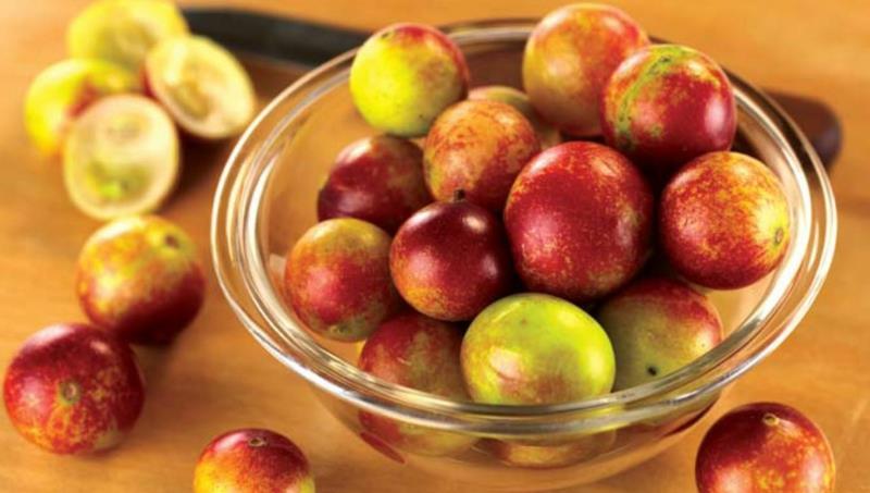 Camu Camu Myrciaria dubia Super Fruit Eat Fruits and Vegetables