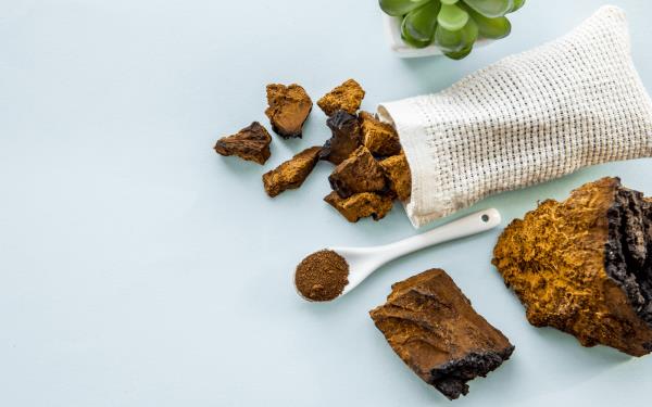 Τσάι Chaga Τα κομμάτια μανιταριών Chaga και η σκόνη έχουν πολλά θεραπευτικά αποτελέσματα στο ανθρώπινο σώμα