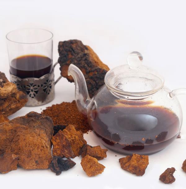 Τσάι Chaga σκούρο καφέ χρώμα Chaga κομμάτια μανιταριών Θεραπευτική δύναμη από τη φύση