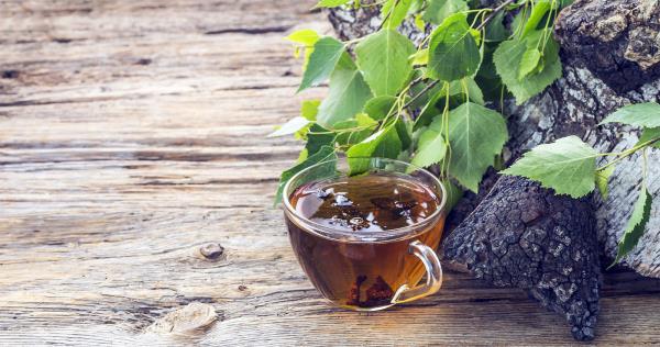 Τσάι Chaga ένα ποτήρι κομμάτια Το μανιτάρι Chaga αναπτύσσεται σε σημύδες σε κομμάτια μη επεξεργασμένης επιφάνειας από σκούρο έως μαύρο