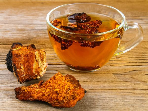 Τσάι Chaga ένα φλιτζάνι χρυσοκάστανο χρώμα Μανιτάρια Chaga κομμάτια Θεραπευτική δύναμη από τη φύση