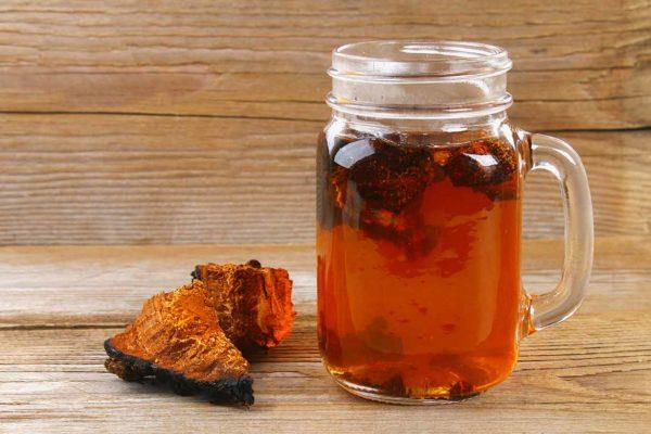 Τσάι Chaga δύο κομμάτια για μια υγιή ζωή
