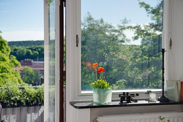 Γοητευτικό-ένα δωμάτιο-διαμέρισμα-στη-Σουηδία-παράθυρο-γλάστρα