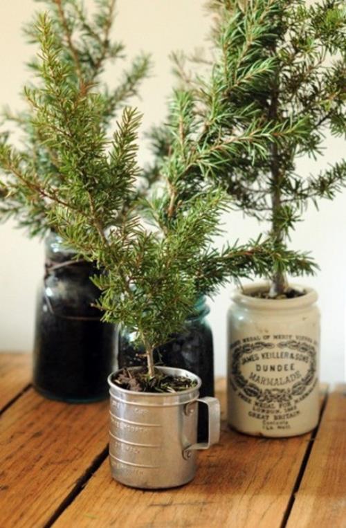 Παραδοσιακά ή ασυνήθιστα χριστουγεννιάτικα δέντρα διακοσμούν κλαδιά έλατου σε απλά δοχεία όπως φλιτζάνια, ποτήρια, ποτιστήρια