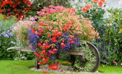 Δροσερή διακόσμηση κήπου λουλούδια πολύχρωμο πανέμορφο ξύλινο τροχό