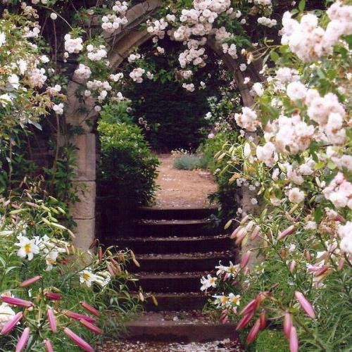 Σχεδιασμός κήπου με σκαλιά πλέγματος από αψίδα τριαντάφυλλου